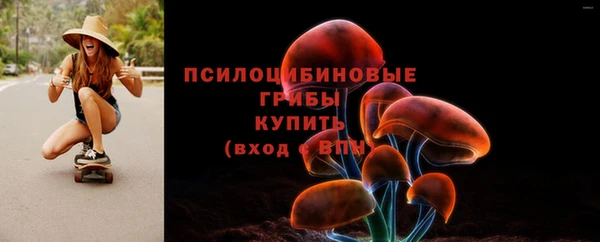 Альфа ПВП Елабуга