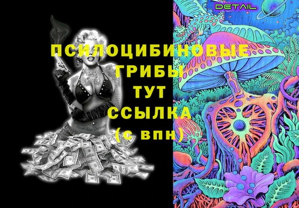 ГАЛЛЮЦИНОГЕННЫЕ ГРИБЫ Алзамай