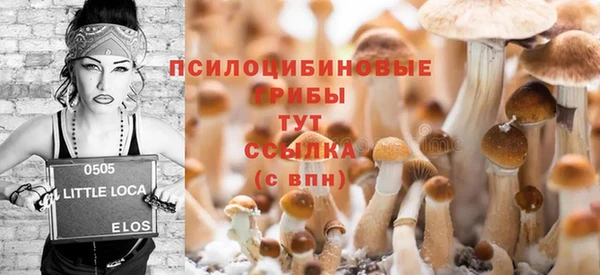 МДПВ Абдулино
