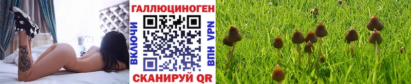 Галлюциногенные грибы Magic Shrooms  наркотики  Шенкурск 